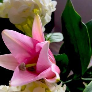 Meet your Posher, Shakita